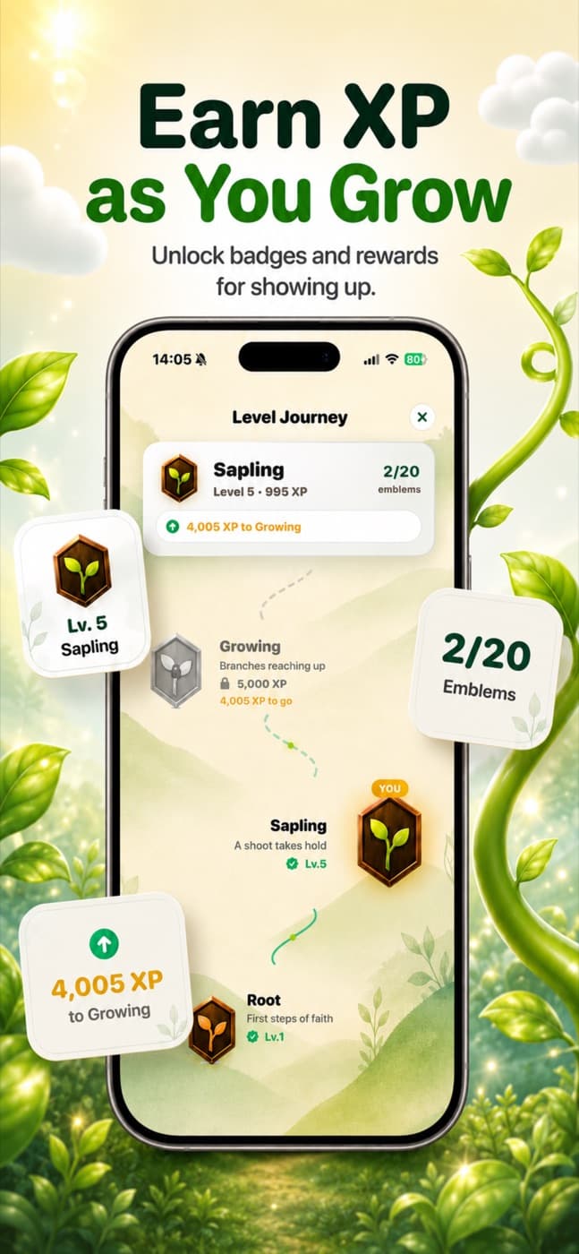 Branch daily reading and growth UI