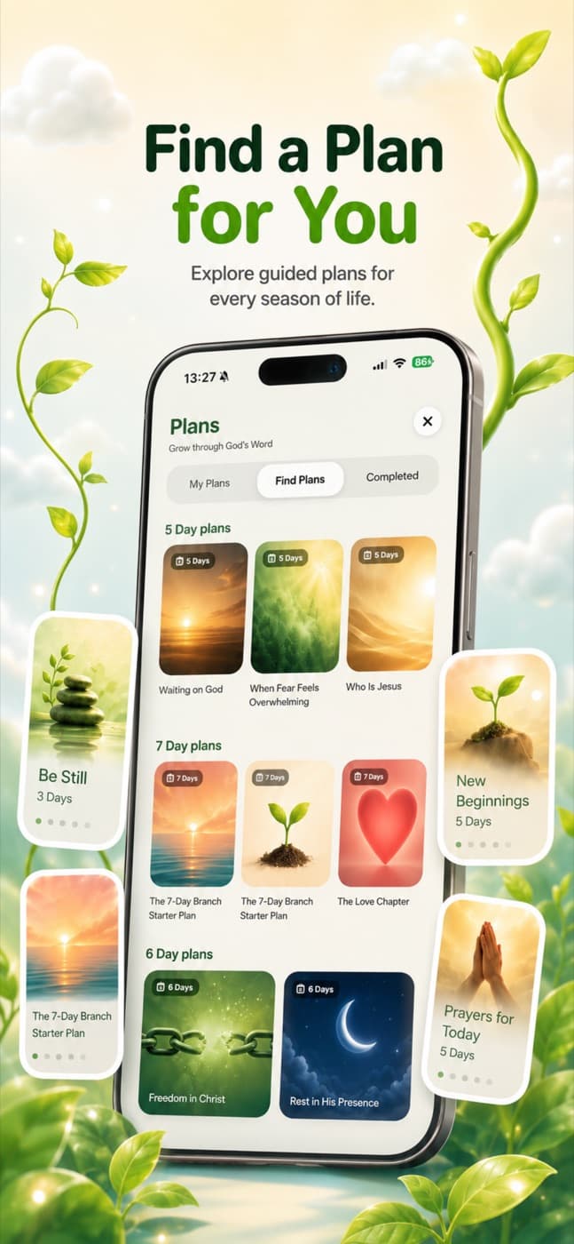 Branch daily rhythm screens