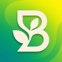 Branch icon
